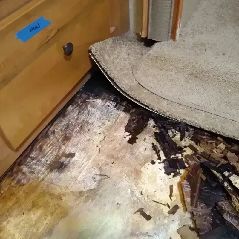 Best Wood Floor Water Damage Service in Lafayette, AL